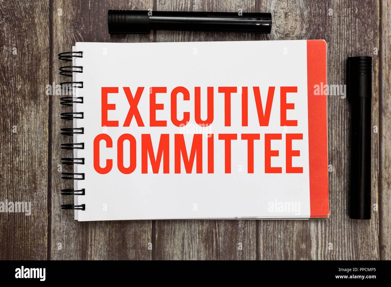 State Executive Committee at Thiruvananthapuram